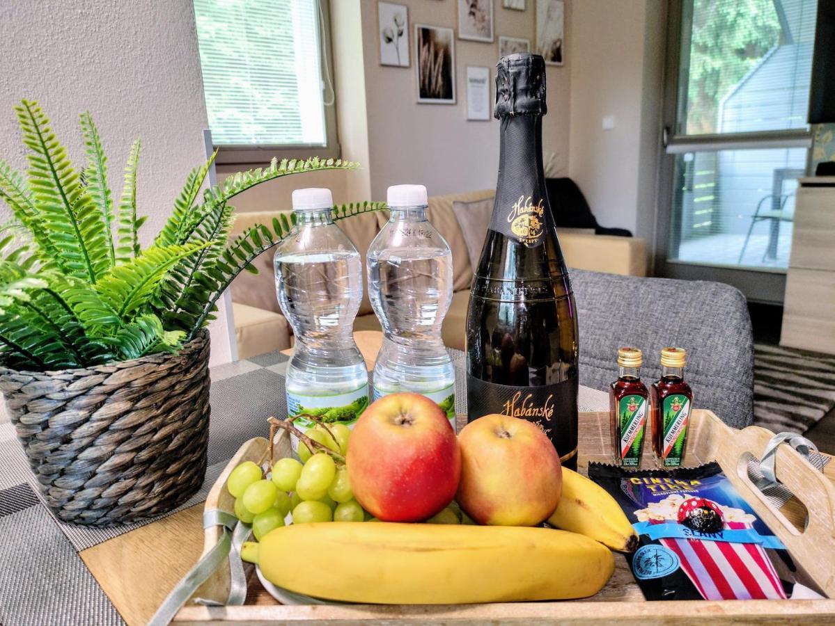 Relax Harrachov Apartments - Free Wellness Grotta Spa Kültér fotó